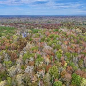 Photo #11 of SOLD property in Off Highway 903, Oak City, NC 20.7 acres