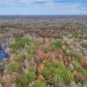 Photo #12 of SOLD property in Off Highway 903, Oak City, NC 20.7 acres