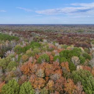 Photo #13 of SOLD property in Off Highway 903, Oak City, NC 20.7 acres