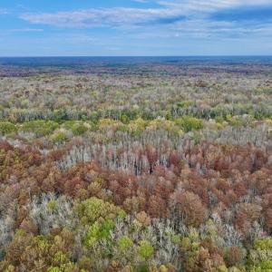 Photo #15 of SOLD property in Off Highway 903, Oak City, NC 20.7 acres