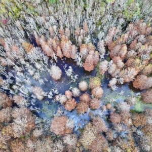 Photo #16 of SOLD property in Off Highway 903, Oak City, NC 20.7 acres