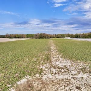 Photo #1 of SOLD property in Off Highway 903, Oak City, NC 20.7 acres