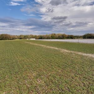Photo #2 of SOLD property in Off Highway 903, Oak City, NC 20.7 acres