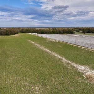 Photo #3 of SOLD property in Off Highway 903, Oak City, NC 20.7 acres
