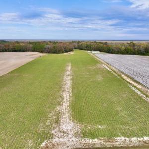 Photo #4 of SOLD property in Off Highway 903, Oak City, NC 20.7 acres