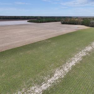 Photo #5 of SOLD property in Off Highway 903, Oak City, NC 20.7 acres