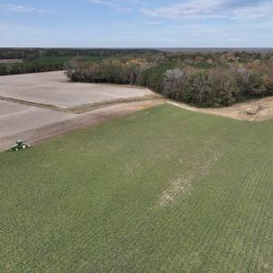 Photo #6 of SOLD property in Off Highway 903, Oak City, NC 20.7 acres