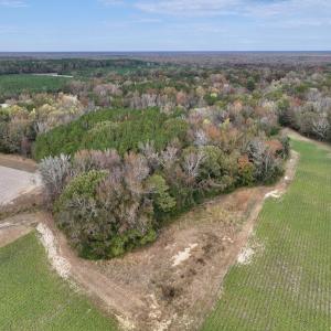 Photo #7 of SOLD property in Off Highway 903, Oak City, NC 20.7 acres