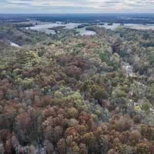 Photo #19 of SOLD property in Off Highway 903, Oak City, NC 20.7 acres