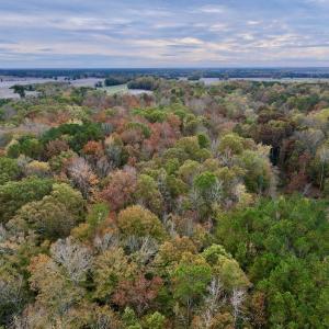 Photo #20 of SOLD property in Off Highway 903, Oak City, NC 20.7 acres