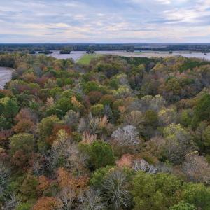 Photo #21 of SOLD property in Off Highway 903, Oak City, NC 20.7 acres