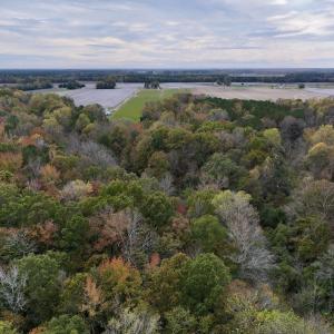 Photo #22 of SOLD property in Off Highway 903, Oak City, NC 20.7 acres