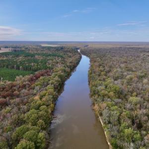 Photo #24 of SOLD property in Off Highway 903, Oak City, NC 20.7 acres