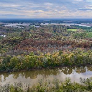 Photo #26 of SOLD property in Off Highway 903, Oak City, NC 20.7 acres