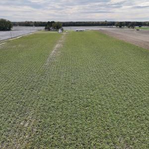 Photo #27 of SOLD property in Off Highway 903, Oak City, NC 20.7 acres