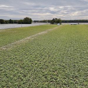 Photo #28 of SOLD property in Off Highway 903, Oak City, NC 20.7 acres