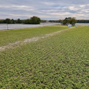 Photo #29 of SOLD property in Off Highway 903, Oak City, NC 20.7 acres