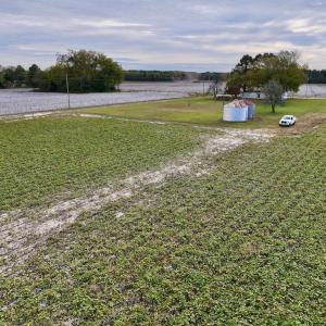 Photo #31 of SOLD property in Off Highway 903, Oak City, NC 20.7 acres