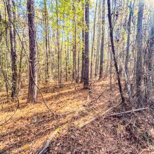 Photo #11 of SOLD property in 265 Aiken Rd., Vass, NC 7.0 acres