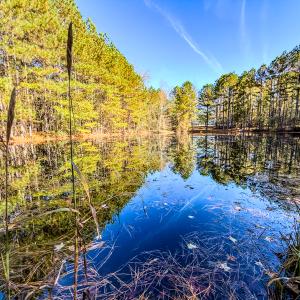 Photo #14 of SOLD property in 265 Aiken Rd., Vass, NC 7.0 acres