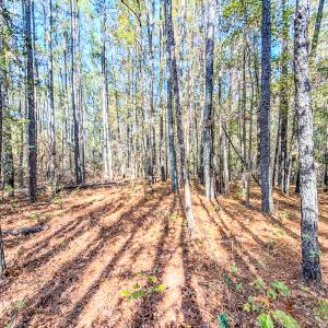 Photo #16 of SOLD property in 265 Aiken Rd., Vass, NC 7.0 acres
