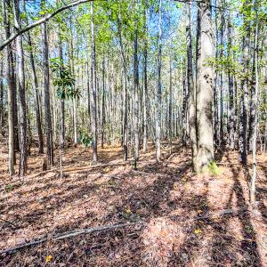 Photo #17 of SOLD property in 265 Aiken Rd., Vass, NC 7.0 acres