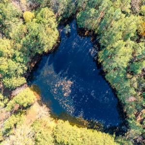 Photo #20 of SOLD property in 265 Aiken Rd., Vass, NC 7.0 acres