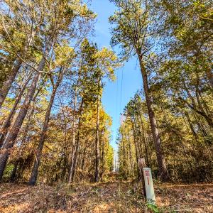 Photo #27 of SOLD property in 265 Aiken Rd., Vass, NC 7.0 acres