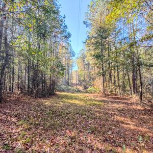 Photo #28 of SOLD property in 265 Aiken Rd., Vass, NC 7.0 acres