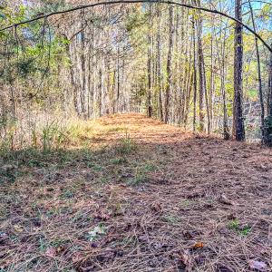 Photo #32 of SOLD property in 265 Aiken Rd., Vass, NC 7.0 acres