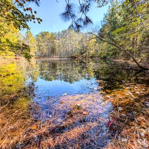 Photo #35 of SOLD property in 265 Aiken Rd., Vass, NC 7.0 acres