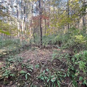 Photo #13 of SOLD property in Off of Piney Grove Road, Alton, VA 7.0 acres