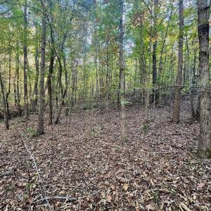 Photo #16 of SOLD property in Off of Piney Grove Road, Alton, VA 7.0 acres
