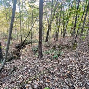 Photo #17 of SOLD property in Off of Piney Grove Road, Alton, VA 7.0 acres