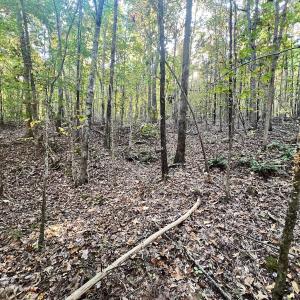 Photo #18 of SOLD property in Off of Piney Grove Road, Alton, VA 7.0 acres