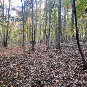 Photo #20 of SOLD property in Off of Piney Grove Road, Alton, VA 7.0 acres