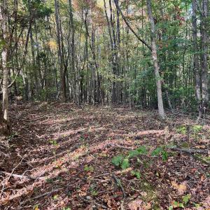 Photo #4 of SOLD property in Off of Piney Grove Road, Alton, VA 7.0 acres