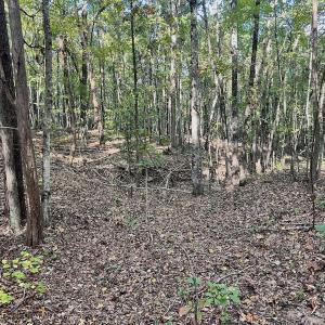 Photo #5 of SOLD property in Off of Piney Grove Road, Alton, VA 7.0 acres