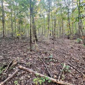 Photo #8 of SOLD property in Off of Piney Grove Road, Alton, VA 7.0 acres