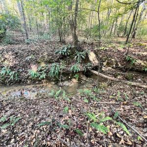 Photo #10 of SOLD property in Off of Piney Grove Road, Alton, VA 7.0 acres