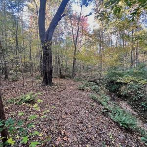 Photo #11 of SOLD property in Off of Piney Grove Road, Alton, VA 7.0 acres