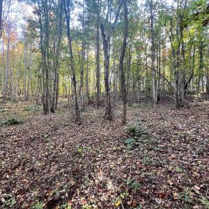 Photo #23 of SOLD property in Off of Piney Grove Road, Alton, VA 7.0 acres