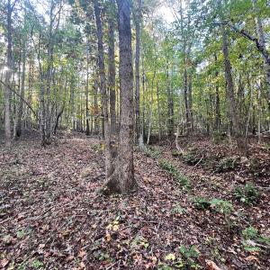Photo #24 of SOLD property in Off of Piney Grove Road, Alton, VA 7.0 acres