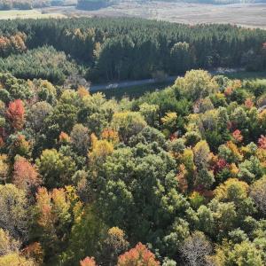 Photo #39 of SOLD property in Off of Piney Grove Road, Alton, VA 7.0 acres