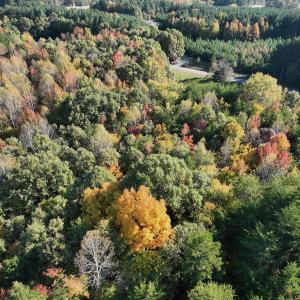 Photo #40 of SOLD property in Off of Piney Grove Road, Alton, VA 7.0 acres