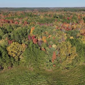 Photo #30 of SOLD property in Off of Piney Grove Road, Alton, VA 7.0 acres