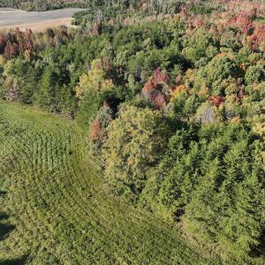 Photo #33 of SOLD property in Off of Piney Grove Road, Alton, VA 7.0 acres