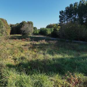 Photo #36 of SOLD property in Off of Piney Grove Road, Alton, VA 7.0 acres