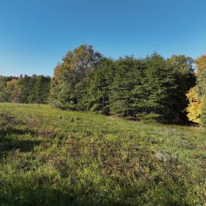 Photo #37 of SOLD property in Off of Piney Grove Road, Alton, VA 7.0 acres