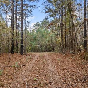 Photo #15 of SOLD property in Off Ronald Tharrington Rd, Louisburg, NC 35.4 acres